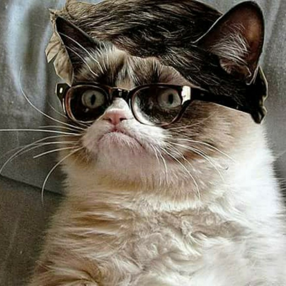 Meet your Posher, Daniel - Picture 1 of 1